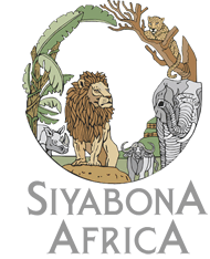 http://lionsands.krugerpark.co.za